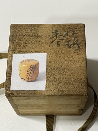 Tsuchime Natsume with Flowering Stems 