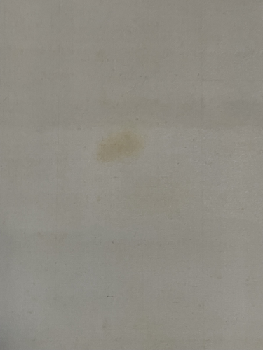 Hanging Scroll with a Portrait of a Young Man in Kariginu and Eboshi