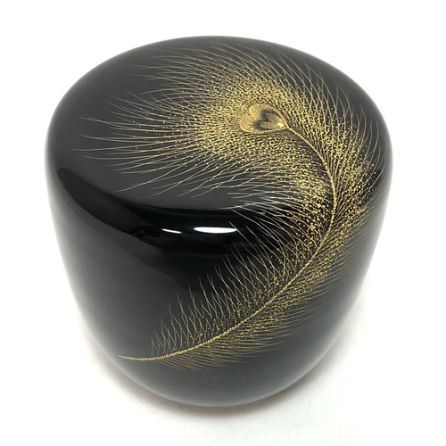 Natsume with Peacock Feather DesignNatsume with Peacock Feather Design